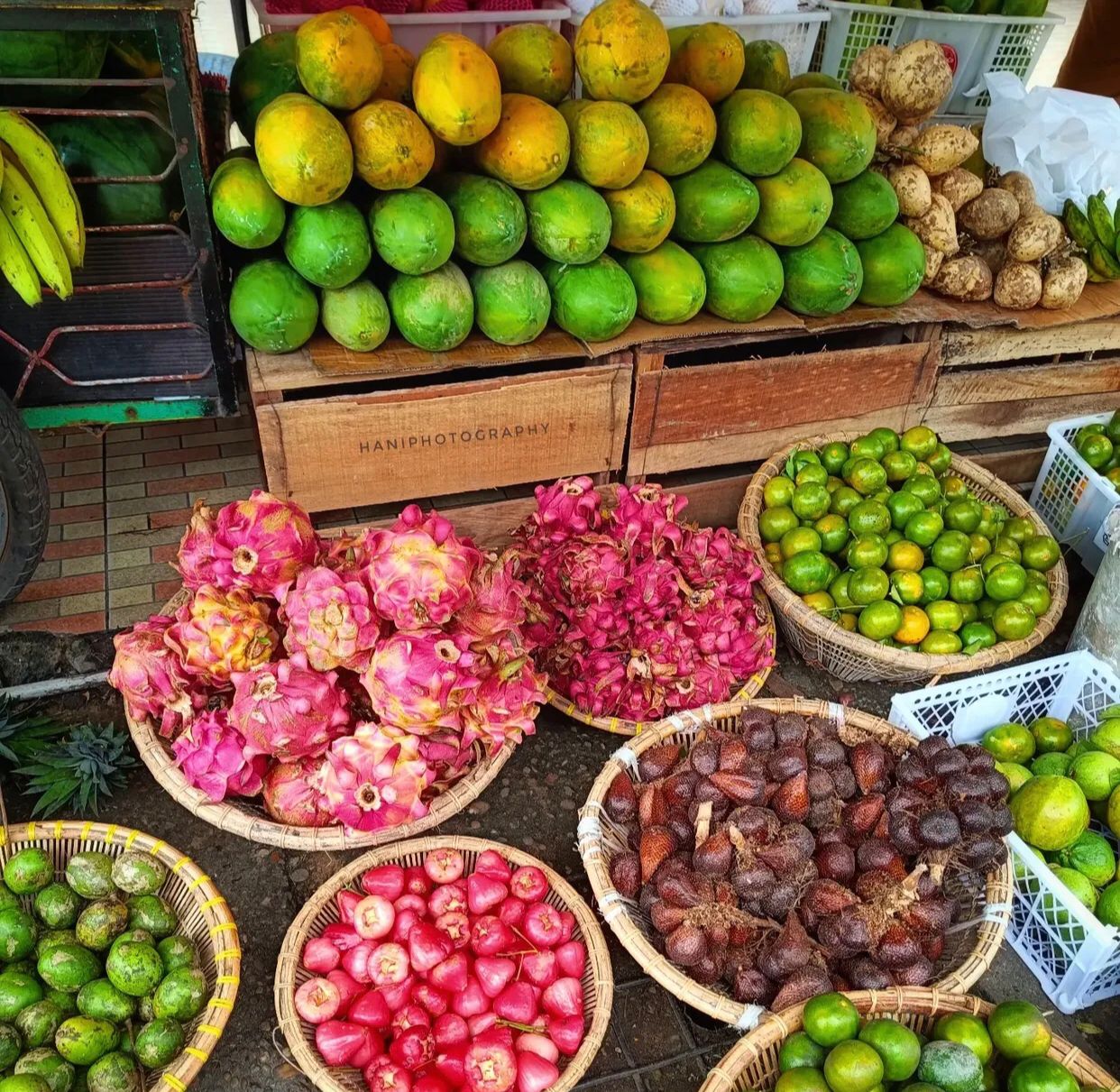 20260318125055_buah.jpeg