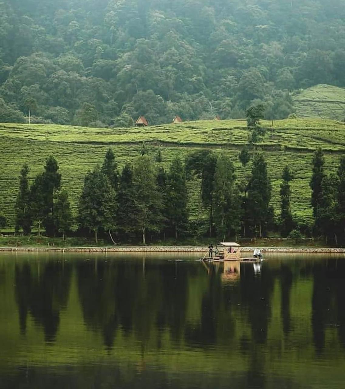 20260327164625_telaga.jpeg