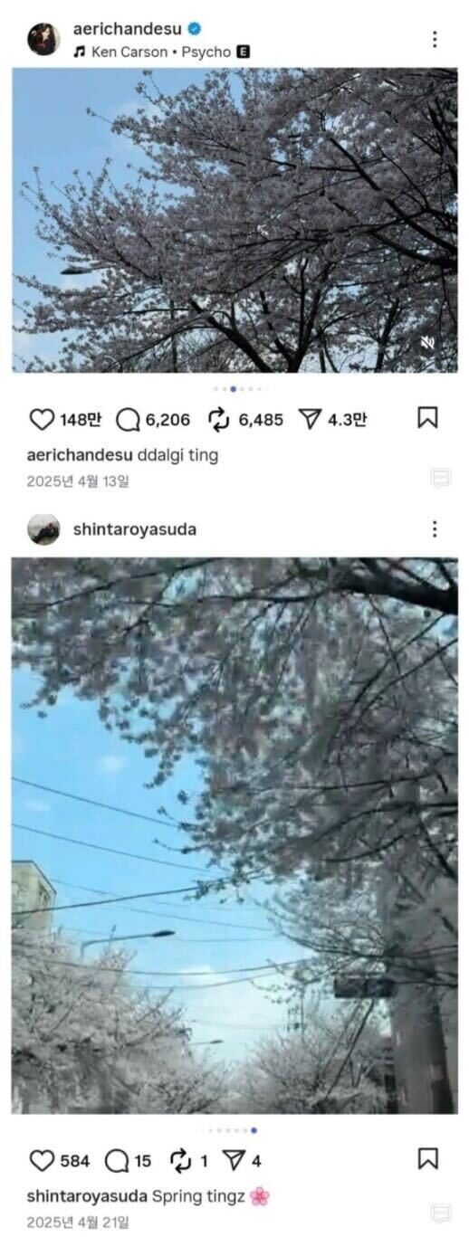 20260519113330_IMG_0629.jpeg