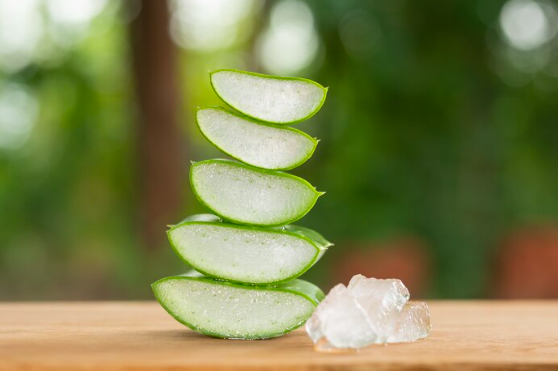 20260609133608_ALOE-VERA.JPG