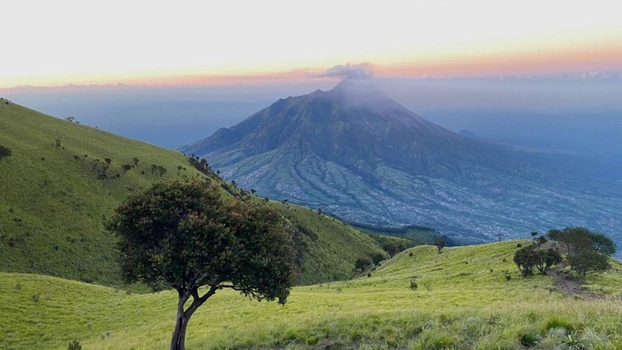 20260715140856_gunung-merbabu-jawa-tengahfoto-tngunungmerbabuorg-1783598005343.jpeg