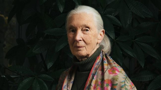 20261029143934_jane-goodall-facebookjane-goodall-1759377856731_169.jpeg