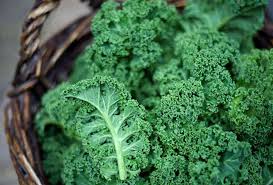 Simak 5 Jenis Olahan dan Resep Sayur Kale yang Lezat dan Sehat