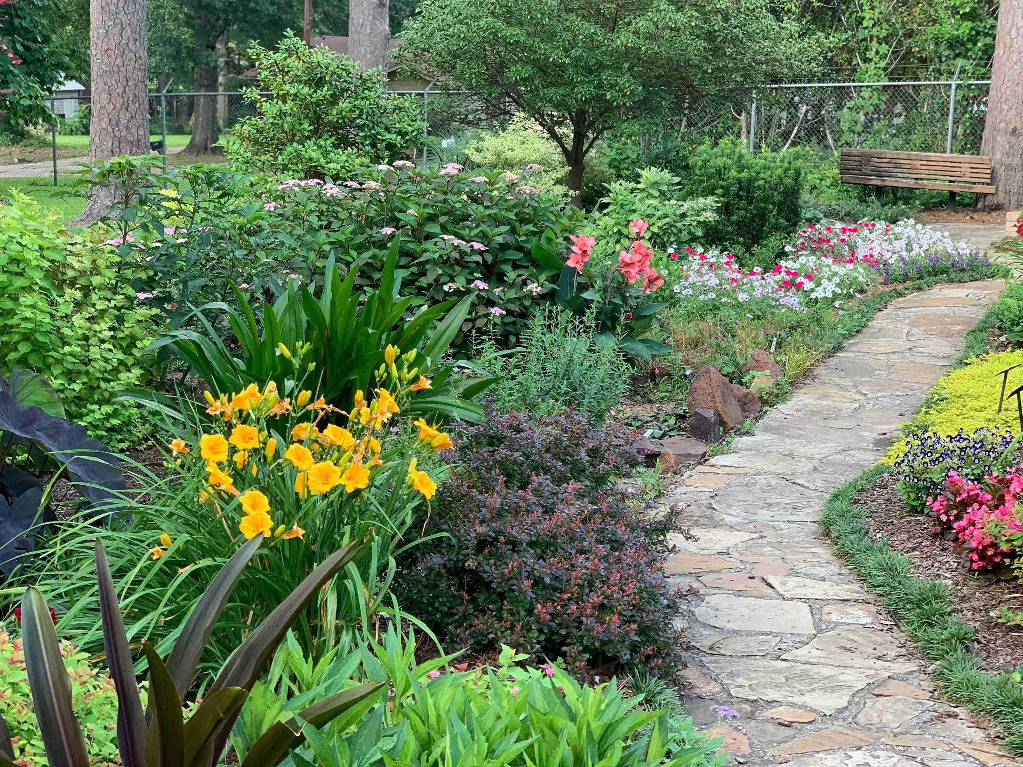 Softscaping dan Sensory Garden: Oase Ketenangan untuk Rumah Cantik dan Hijau