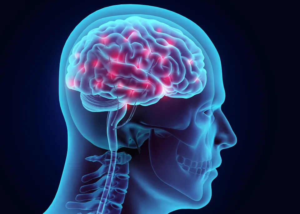 Gawat! Alzheimer Ternyata Bisa Pengaruhi Penuaan, Lemak Tubuh, dan Kesehatan Usus