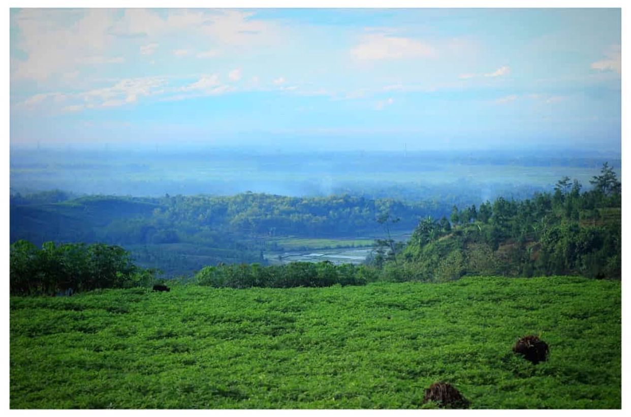 Tak Cuma Nusakambangan! Cilacap Punya 5 Pesona Alam Tersembunyi yang Wajib Kamu Jelajahi!