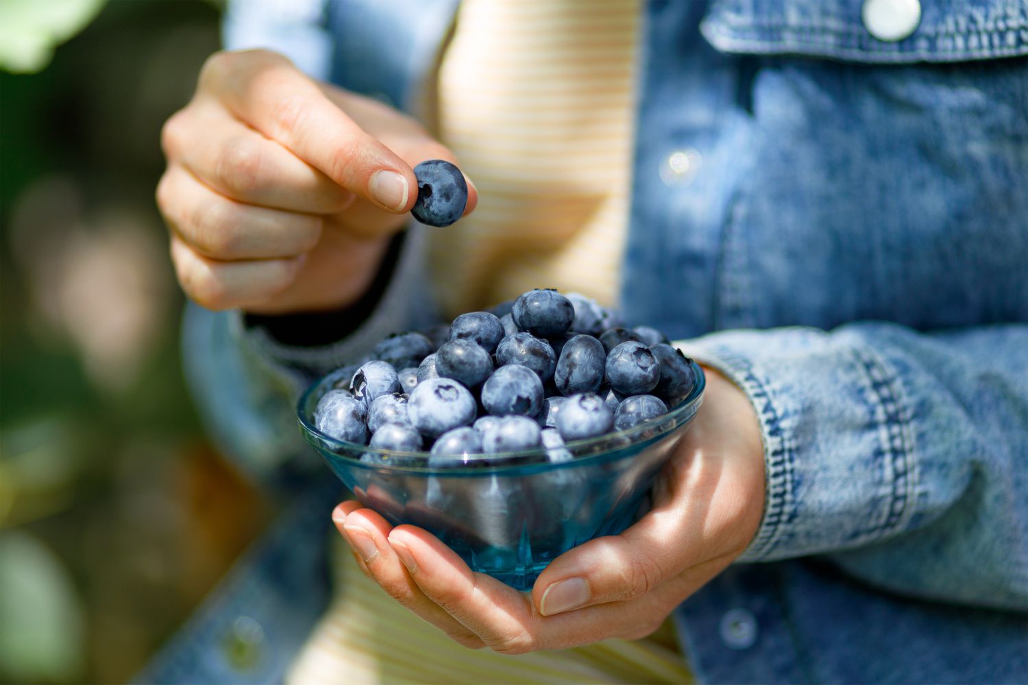 Rahasia Awet Muda? Makan Buah Berry Setiap Hari Bisa Jadi Kuncinya!
