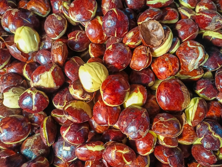 Pesta Jengkol Berujung Malapetaka, Pemuda 29 Tahun ini Alami Penyakit Mengerikan!