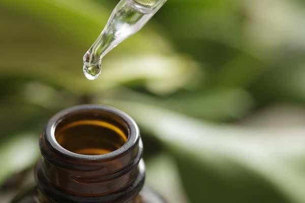 Tea Tree Oil untuk Jerawat: Obat Ajaib atau Cuma Gimmick?