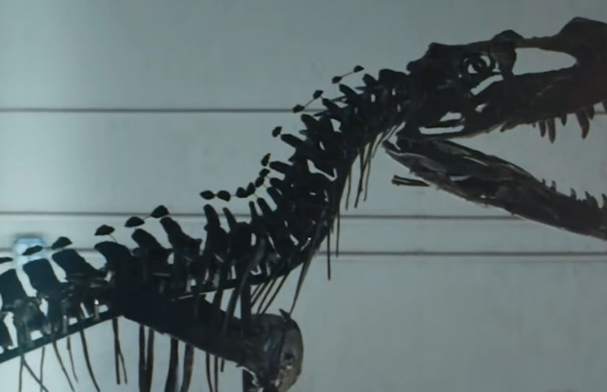 Kerangka Dinosaurus Remaja Paling Langka Akan Dilelang di New York, Siap Pecahkan Rekor!