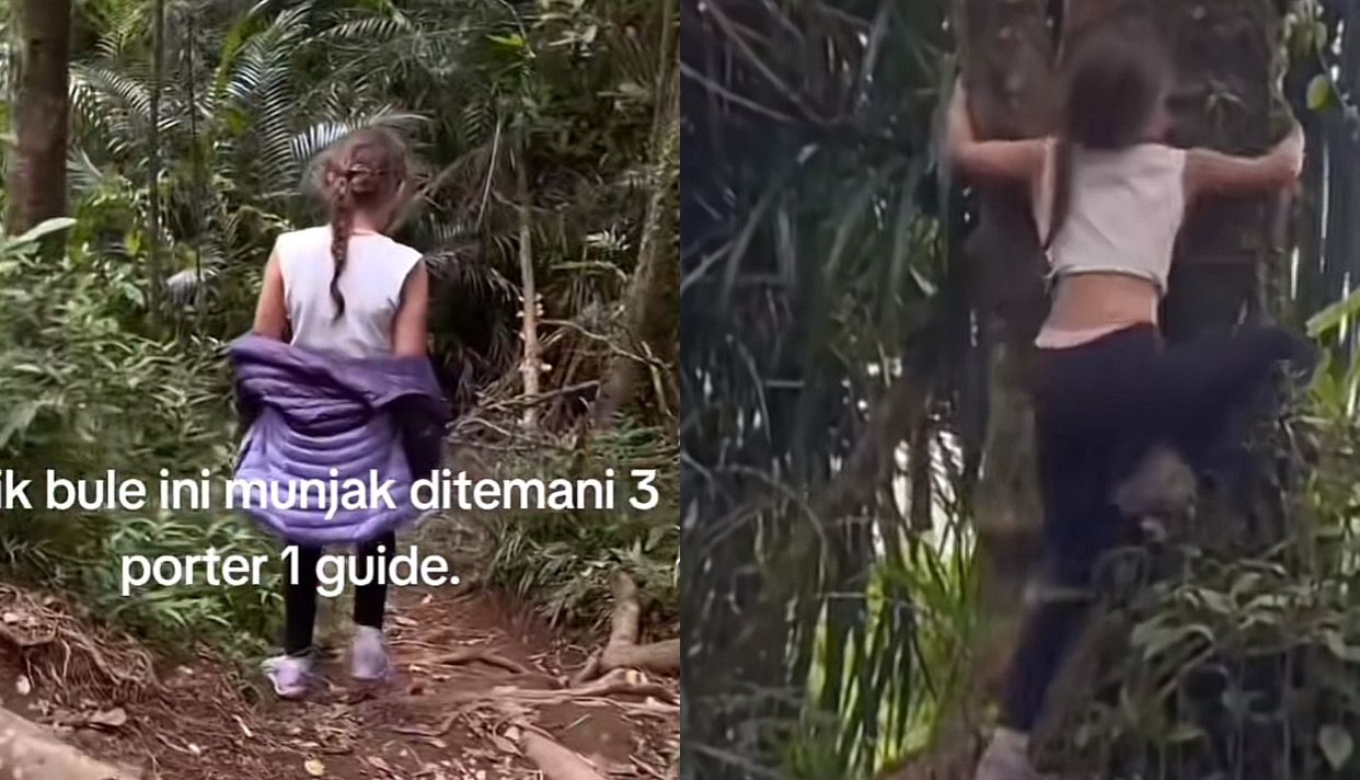 Viral! Bocah Bule Taklukkan Puncak Rinjani Sendirian Didampingi 3 Porter dan 1 Guide: 'Masa Kalah Sama Anak Kecil?'