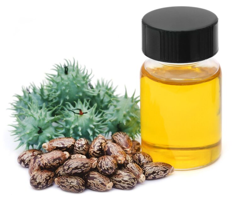 Castor Oil Diklaim Ampuh Bikin Langsing Tanpa Olahraga? Ini Penjelasan Ilmiahnya!