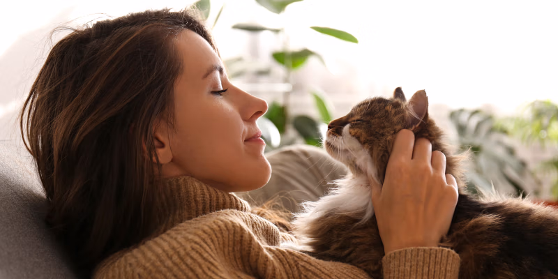 Jangan Buru-Buru ke Psikolog, Ini Manfaat Bermain Dengan Kucing Untuk Redakan Stress