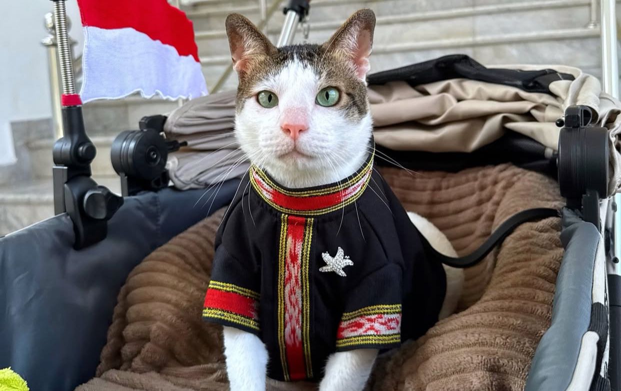 Bobby Kertanegara Tampil Beda dengan Baju Tenun Tanimbar di HUT RI ke-80, Bikin Netizen Meong Meleyot!