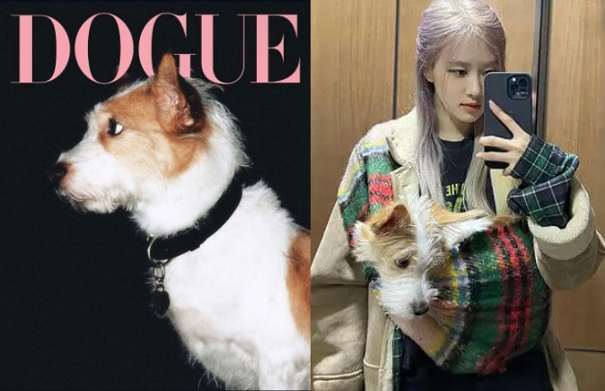 Tampil di Vogue Korea, Hank Anjing Rose BLACKPINK Picu Drama Besar Antara BLINK dan ARMY