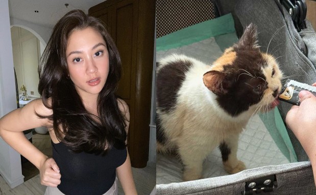 Tragedi Penjarahan Rumah Uya Kuya dan Eko Patrio: Kucing-Kucing Ikut Dijarah, Sherina Munaf Turun Tangan!
