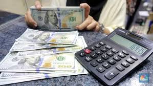 Indonesia Tak Bisa Bertahan jika Defisit Terus Menumpuk