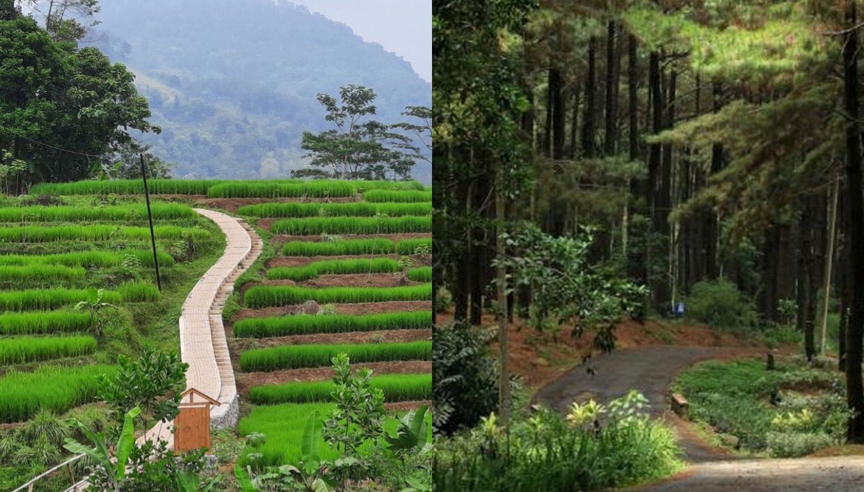 Rekomendasi 5 Destinasi Sejuk Dekat Jakarta, Pas Buat Liburan Singkat Selain Puncak