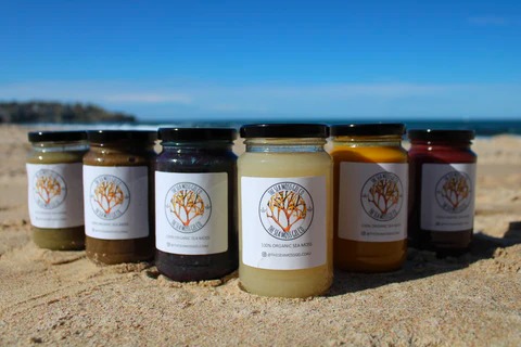 6 Manfaat Sea Moss Gel, Superfood Favorit Artis! Rahasia Diet yang Bikin Kulit Glowing