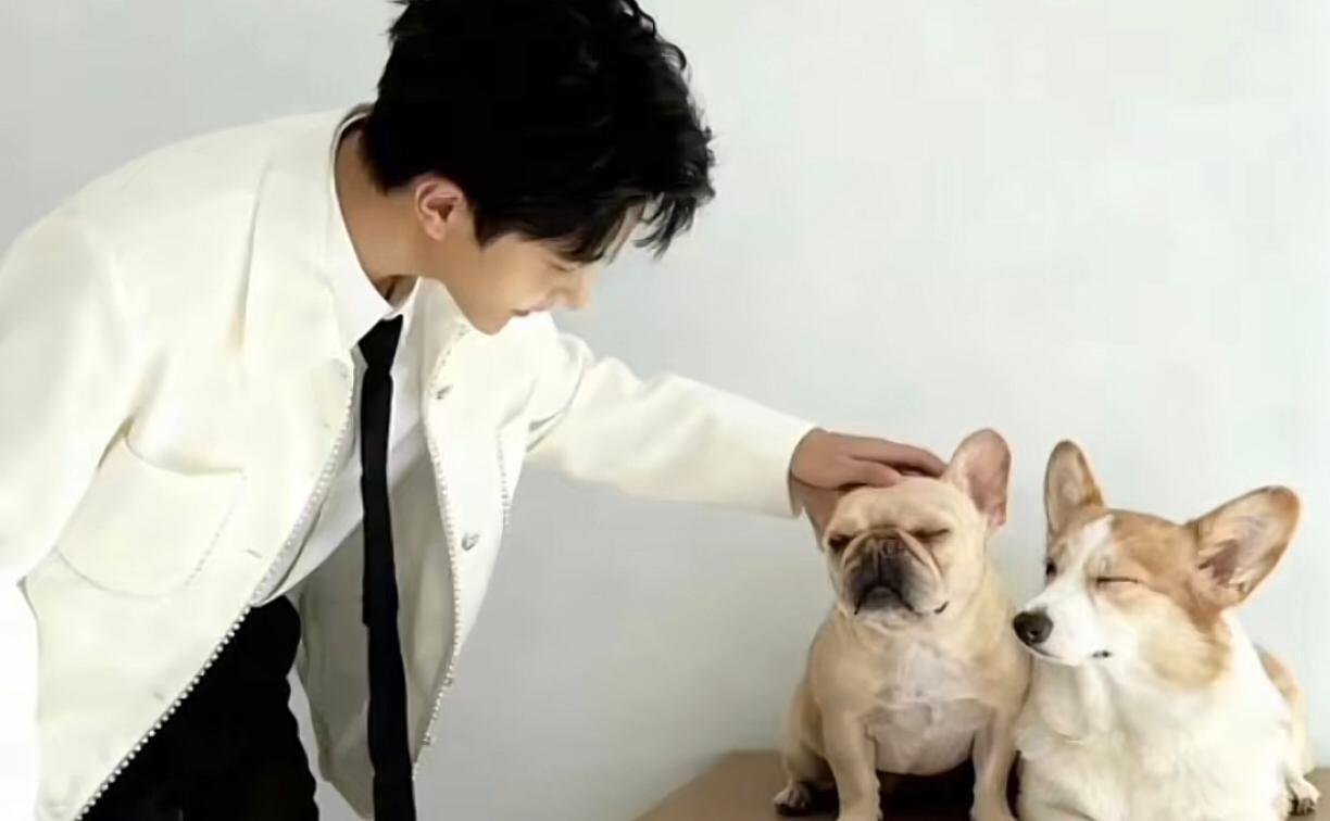 Publik Geger! Dua Anjing Yu Menglong Dikabarkan Mati Tak Wajar Sebelum Sang Aktor Wafat