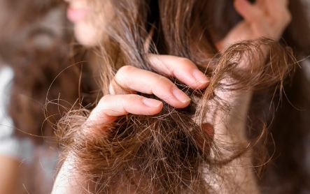 Tanpa Ribet, Cara Mencegah Rambut Bercabang dengan Bahan Alami