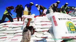 Kemantan Diminta Benahi Data, 30-40% Petani Belum Terima Pupuk Bersubsidi