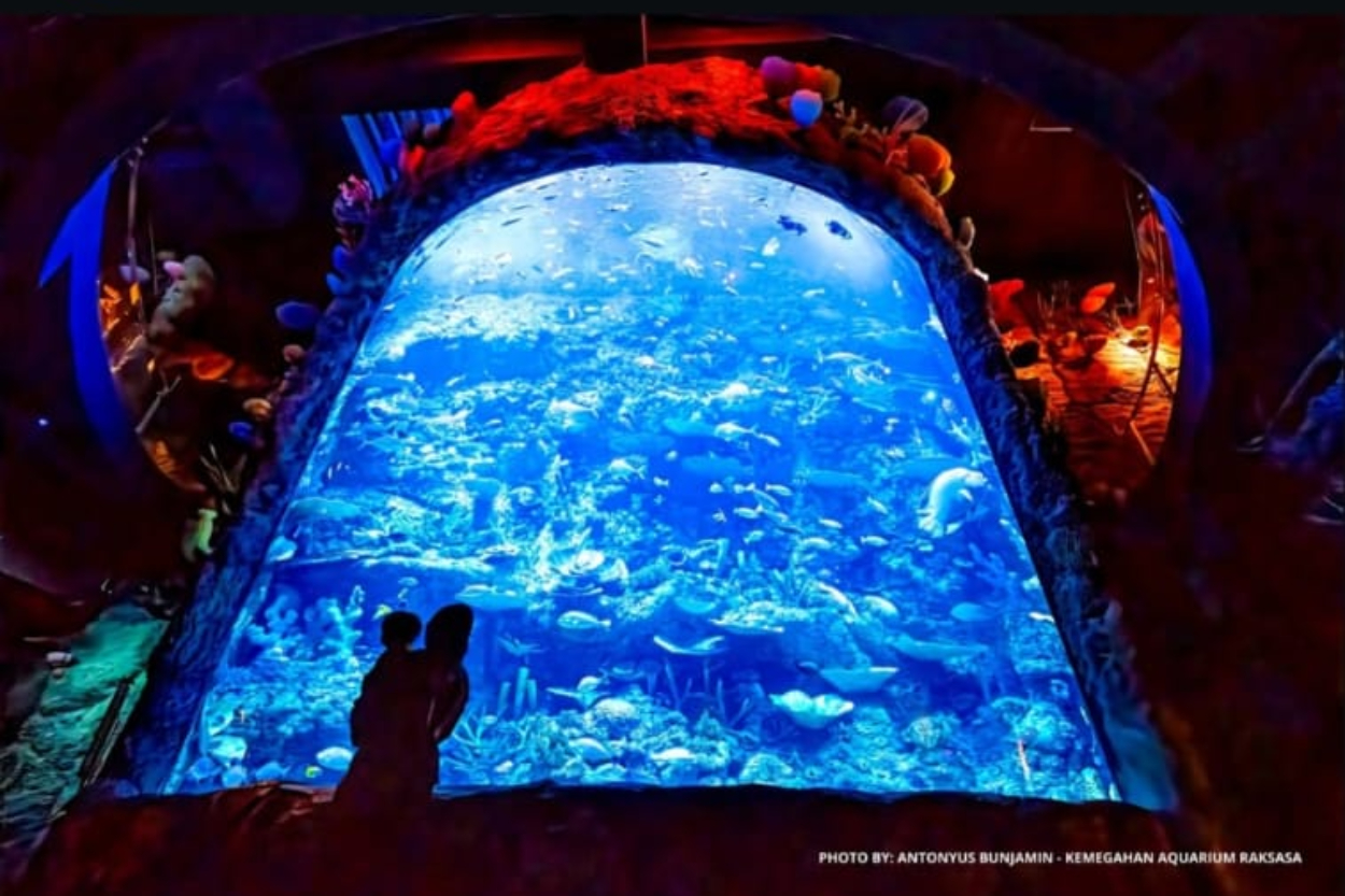 Ide Kencan Romantis! Ini 7 Tempat Aquarium Date Terbaik di Indonesia, Cocok Buat Quality Time Bareng Pasangan