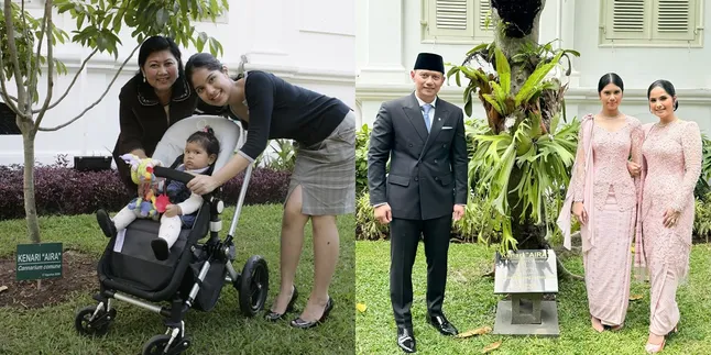 Kembali Viral Ucapan Ani Yudhoyono tentang '1 Pohon 1 Kelahiran', Warisan Tak Ternilai untuk Keluarga serta Lingkungan