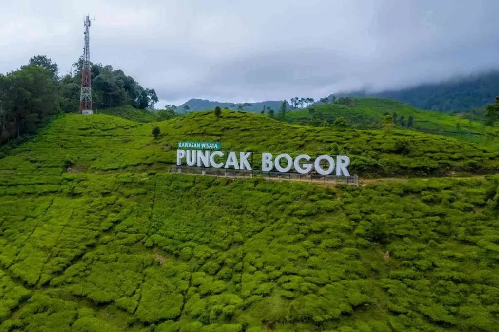 Butuh Healing Singkat? Ini 7 Tempat Wisata Bogor yang Sejuk dan Estetik, Pas Buat Melepas Penat