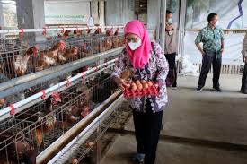 Desa Berpotensi Jadi Pusat Produksi Pangan dan Ekonomi Rakyat
