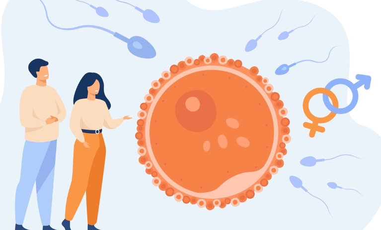 Diet Ekstrem Bisa Ganggu Ovulasi? Begini Penjelasannya