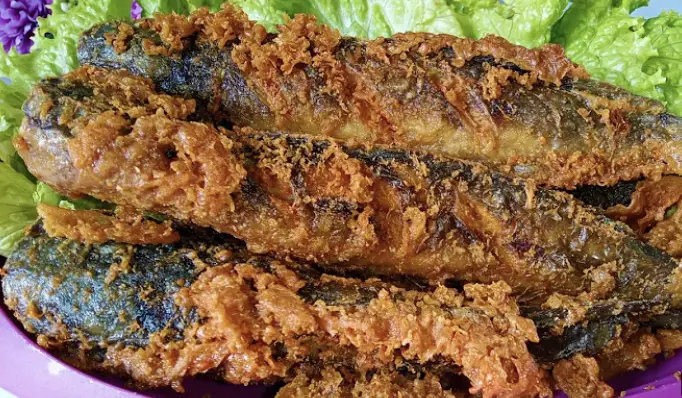 Sering Jadi Menu MBG, Ini Manfaat Ikan Lele Untuk Kesehatan