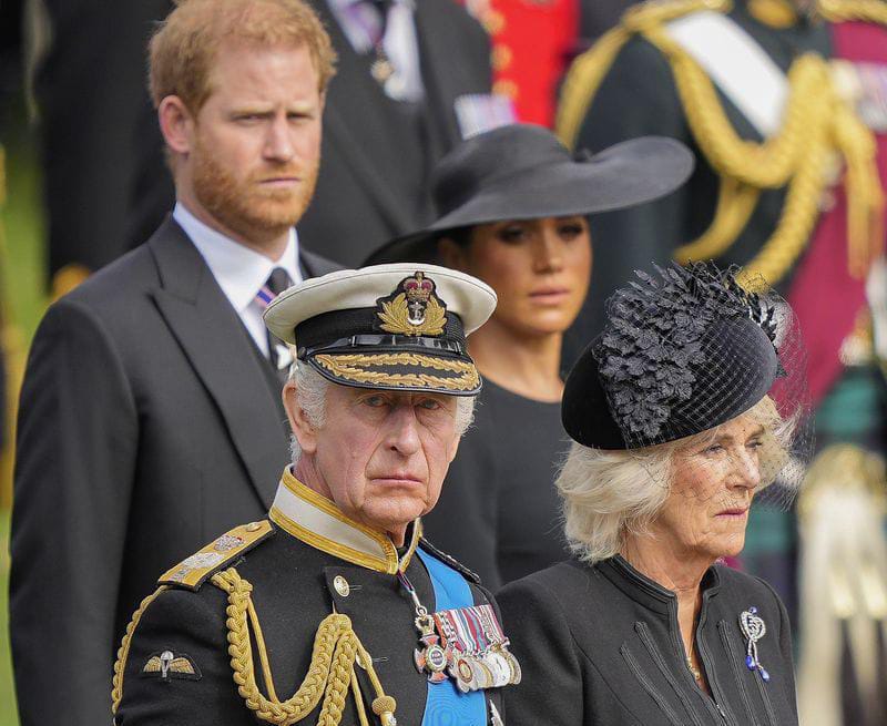 Camilla Klaim Meghan Markle Cuci Otak Pangeran Harry hingga Jauh dari Keluarga Kerajaan
