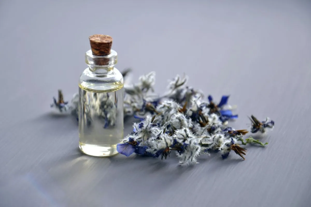 10 Parfum Lebaran yang Bikin Orang Noleh Dua Kali! Wanginya Elegan, Tahan Lama, dan Bikin Kamu Jadi Pusat Perhatian