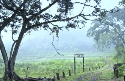 Dari Pantai hingga Bukit, Ini Rekomendasi Wisata di Gunung Kidul