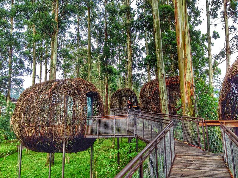 10 Tempat Wisata Lembang Paling Hits yang Bikin Kamu Betah Nggak Mau Pulang