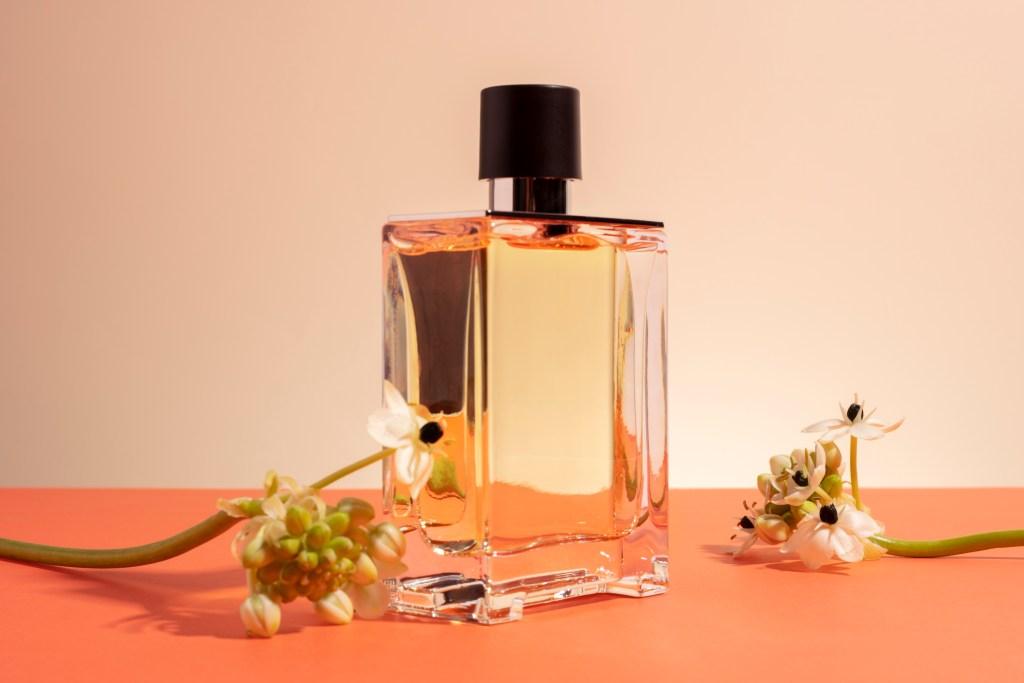 Wangi Seharian Tanpa Reapply? Ini 23 Parfum Perempuan Paling Tahan Lama yang Bikin Kamu Auto Jadi Pusat Perhatian!