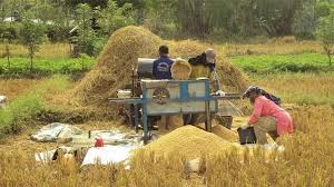Waspadai Kenaikan Harga Pangan Akibat Gangguan Distribusi dan Cuaca