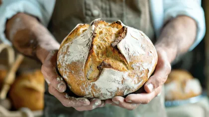 Rekomendasi Toko Roti Sourdough Jakarta: Dari Maison Weiner yang Legendaris hingga Roti Sordo yang Viral