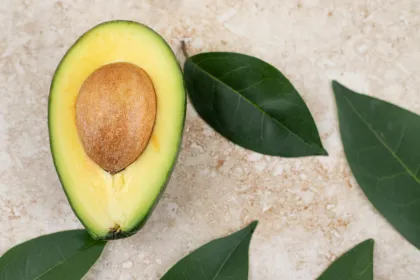 Jangan Dibuang! Ini 5 Manfaat Daun Alpukat untuk Kesehatan, Ampuh Turunkan Darah Tinggi dan Gula Darah