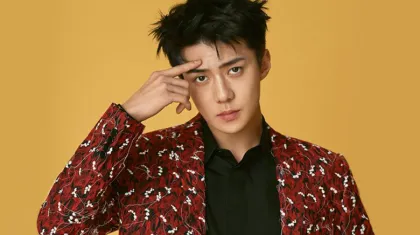 Rahasia Kekayaan Fantastis Sehun EXO: Idol KPop Jadi Raja Properti Miliaran, Calon Miliarder di Usia Muda!