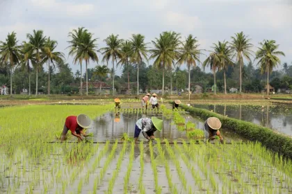 Anak Muda Indonesia Harus Dekat Dengan Pertanian