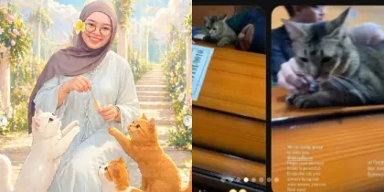 Dikenal Pecinta Kucing, Momen Haru Terjadi Saat Hewan Peliharaan Termenung di Atas Peti Mati Mendiang Nur Ainia