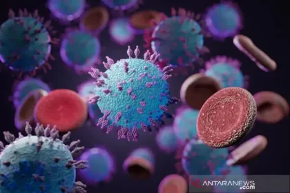 Hantavirus Disebut Mematikan, Berikut 5 Gejala yang Perlu Dikenali