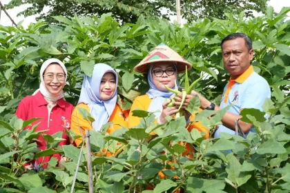 Konsistensi Produksi Pangan Nasional Jadi Faktor Penting untuk Menjaga Stabilitas Inflasi