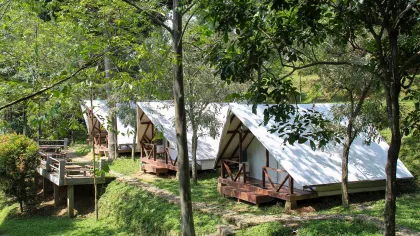7 Tempat Staycation di Sentul Bogor yang Cocok untuk Keluarga, Bernuansa Alam dan Asri!