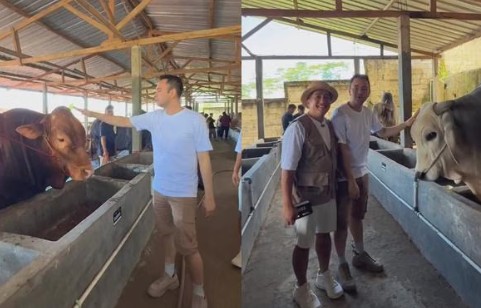 Raffi Ahmad Siapkan Kurban Fantastis! 14 Sapi Jumbo dan 102 Kambing
