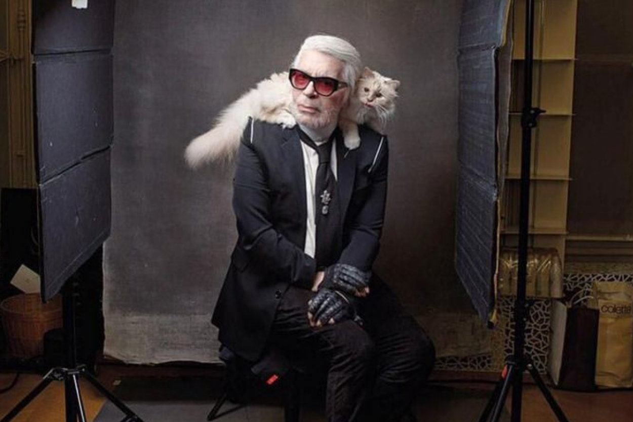 Kucing Terkaya di Dunia Kini Hidup Susah? Warisan Choupette Senilai Rp26 Miliar dari Karl Lagerfeld Raib
