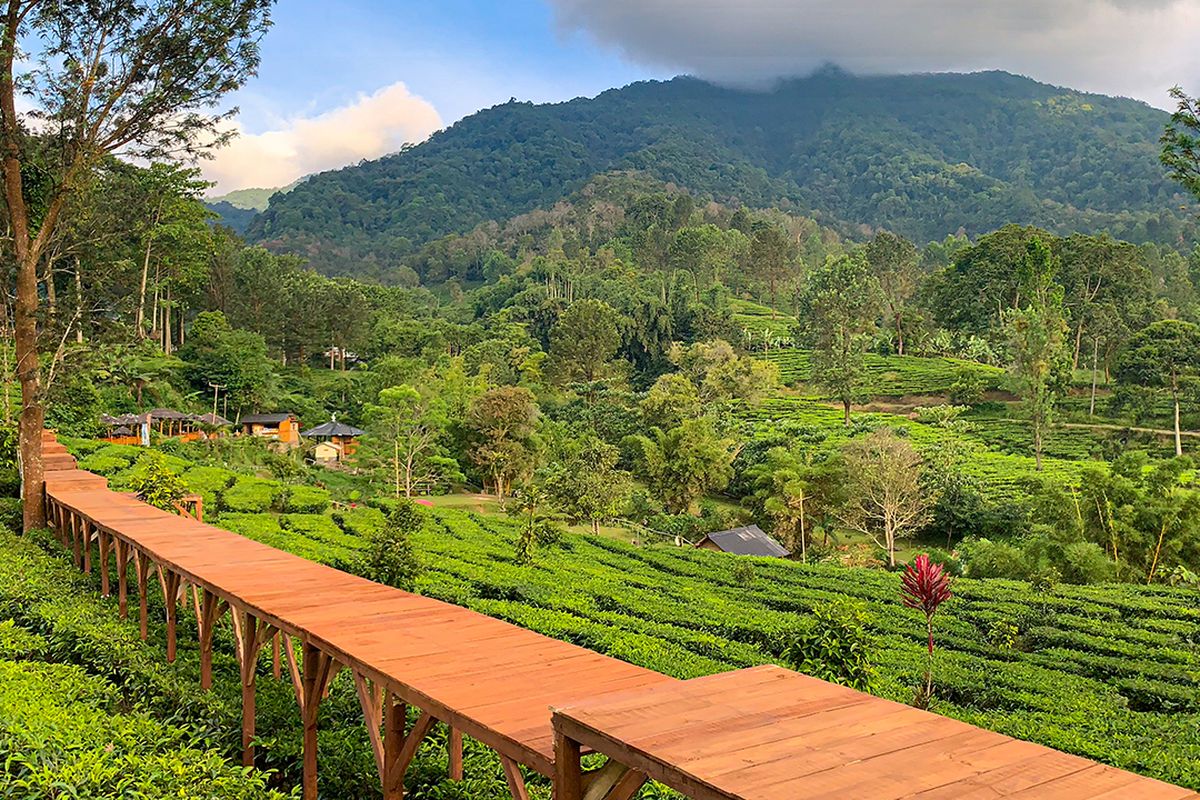 5 Rekomendasi Tempat Wisata Dekat Jakarta, Cocok Untuk Liburan Weekend Bareng Keluarga
