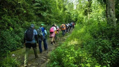 5 Rute Trekking di Sentul B...